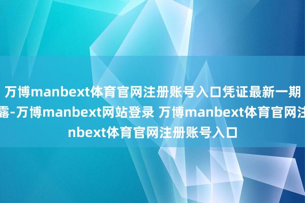 万博manbext体育官网注册账号入口凭证最新一期基金季报裸露-万博manbext网站登录 万博manbext体育官网注册账号入口